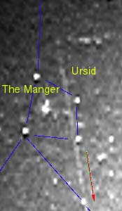 Ursid counts from three intensified video cameras