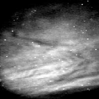 Image of airglow taken during Leonid MAC mission