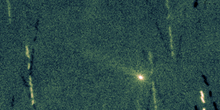 Image comet 55P/Tempel-Tuttle