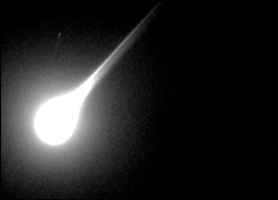 Leonid fireball caught by rapid pointing